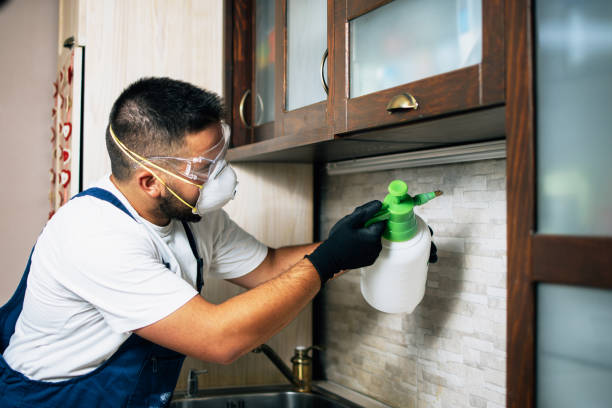 Best Pest Inspection Near Me  in West Salem, OH