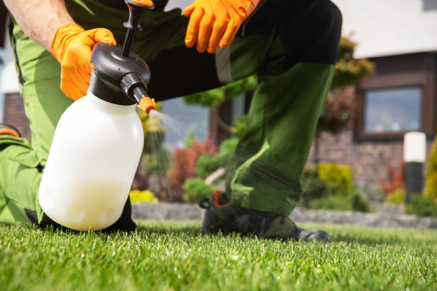 Best Termite Control Services  in West Salem, OH