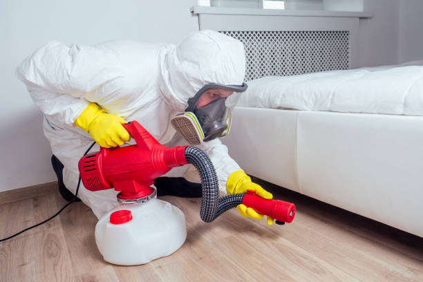 Best Local Pest Control Services  in West Salem, OH