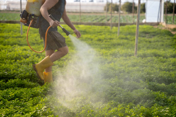 Best Residential Pest Control  in West Salem, OH