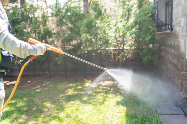 Best Pest Removal Services  in West Salem, OH