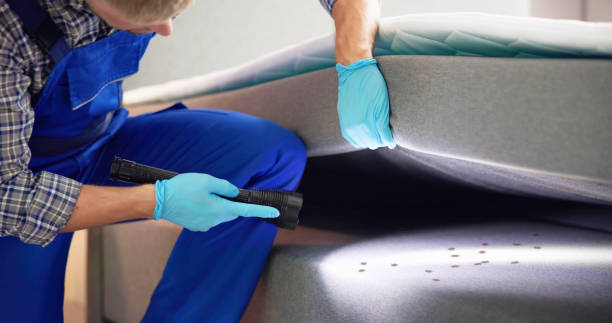 Best Affordable Pest Control Services  in West Salem, OH