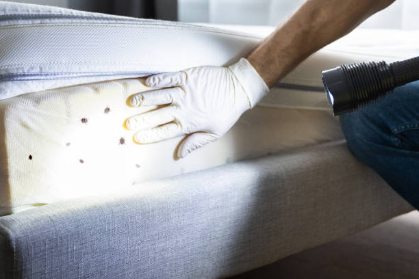 Best Commercial Pest Control Services  in West Salem, OH