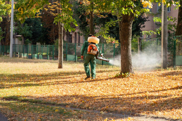 Best Pest Control for Homes  in West Salem, OH