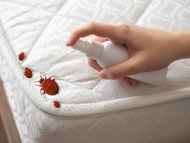 Best Exterminator Services  in West Salem, OH