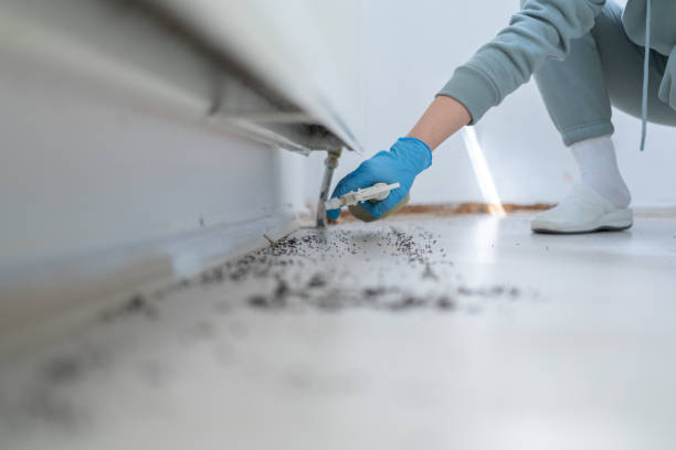 Best Pest Control Treatment  in West Salem, OH