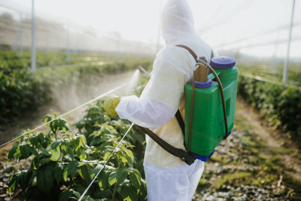 Best Emergency Pest Control  in West Salem, OH